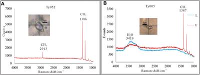 Fluid mineralization of the Dongtongyu gold deposit in the southern margin of North China craton: Evidence from microthermometry and composition of fluid inclusions